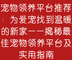 宠物领养平台推荐：为爱宠找到温暖的新家——揭秘最佳宠物领养平台及实用指南