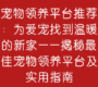 宠物领养平台推荐：为爱宠找到温暖的新家——揭秘最佳宠物领养平台及实用指南