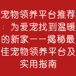 宠物领养平台推荐：为爱宠找到温暖的新家——揭秘最佳宠物领养平台及实用指南