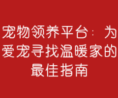 宠物领养平台：为爱宠寻找温暖家的最佳指南