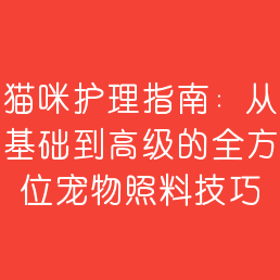 猫咪护理指南：从基础到高级的全方位宠物照料技巧